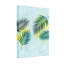 Plantes et fleurs, feuilles tropicales sur fond bleu clair-1625302998