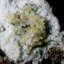 Carolinda Landscape & Nature Crystal