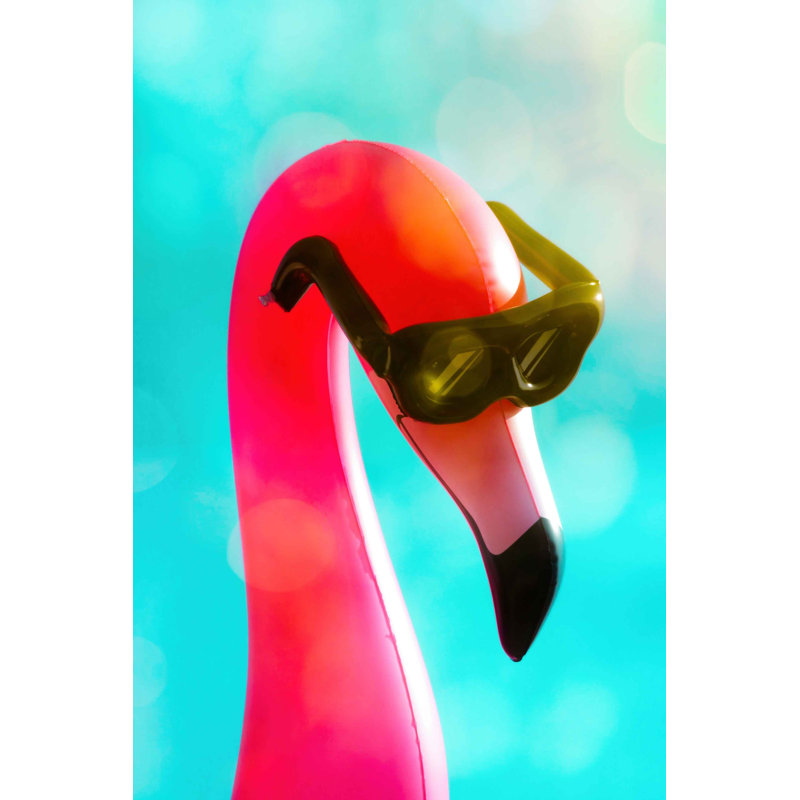 Flamant rose se prélassant à Boca Bokeh