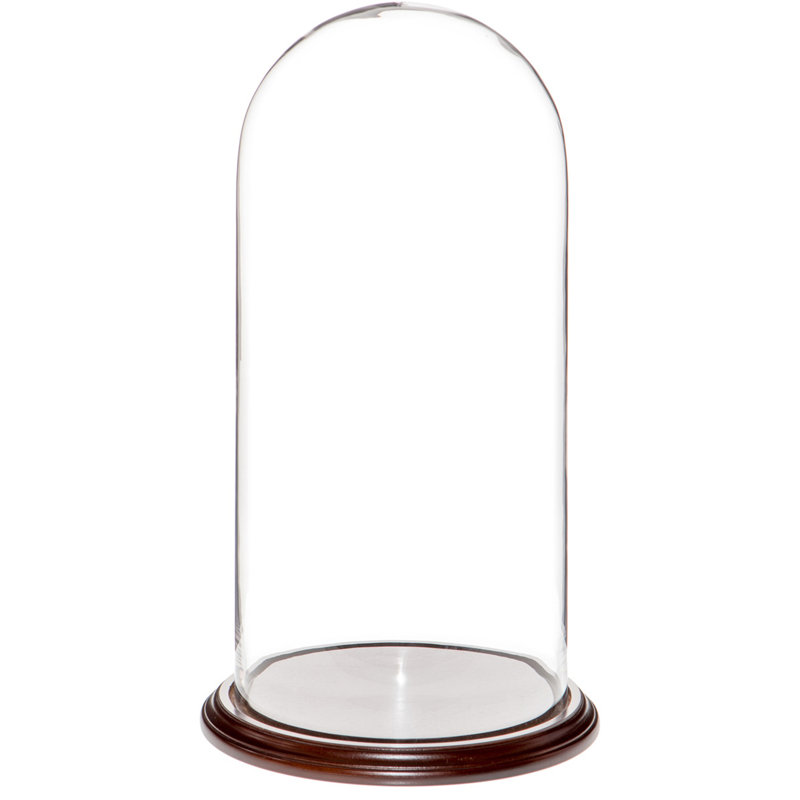 Vucciria Glass Display Dome Cloche, Dark Mahogany Veneer Base, 20" H x 9.75" W x 9.75" D