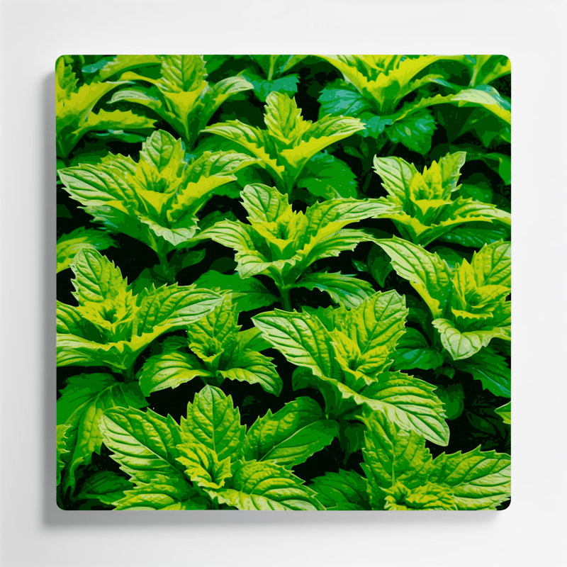 Aquarelle, botanique, 64, art mural vert en métal, H 32 po x l 32 po x P 0,05 po