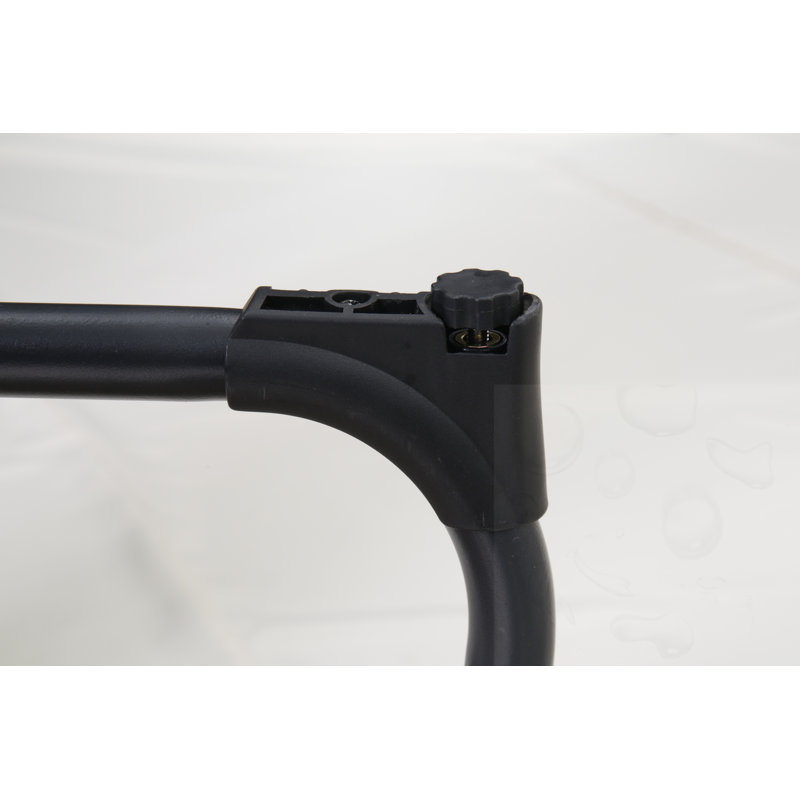Ensemble de chaises d'extérieur en osier avec coussins (ensemble de 2)