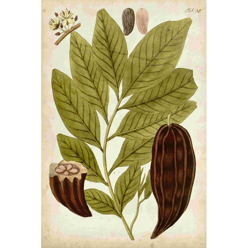 Modèle horticole III, H 36 po x l 24 po
