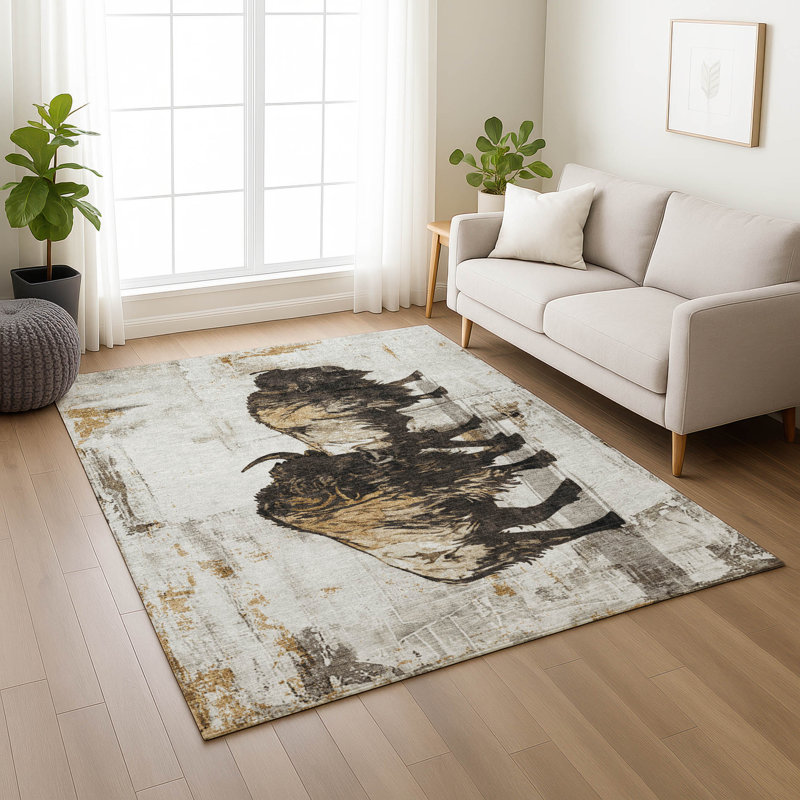 Tapis intérieur / extérieur lavable à la machine Boruta ACN2245, Rectangle 9 pi x 12 pi