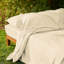 Sunrise Sateen Sheet Set-55933188-55933191