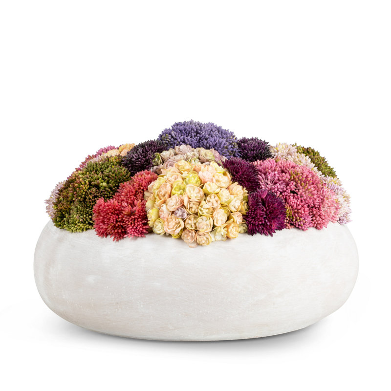 Verona Sedum Arrangement