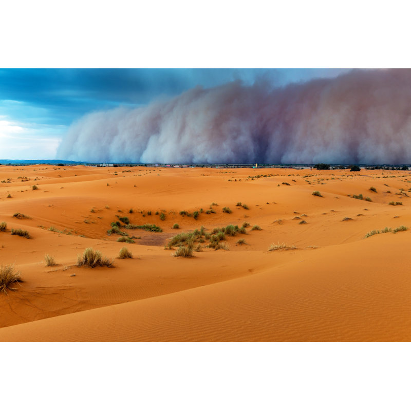 Sandstorm by Pavliha, 12" H x 18" W