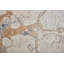 Tapis argent / gris / bleu en laine Zarke-1925419574