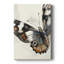 ANIMALS Series CECLX - Gallery Cavas-1207714011