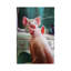 Affirmation 1 Piece Wrapped Canvas Painting-536939525