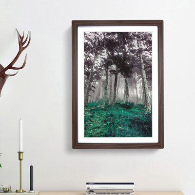 Forest in Russia - Framed Print