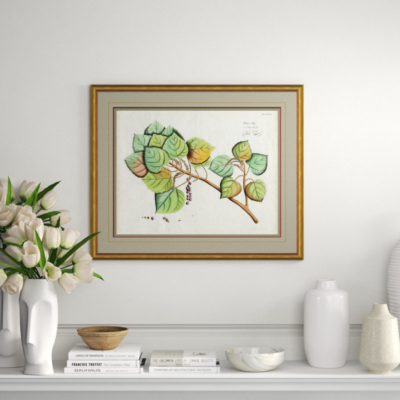 Malaberica Leaves In Color 6 Giclee Print by Soicher Marin Archives