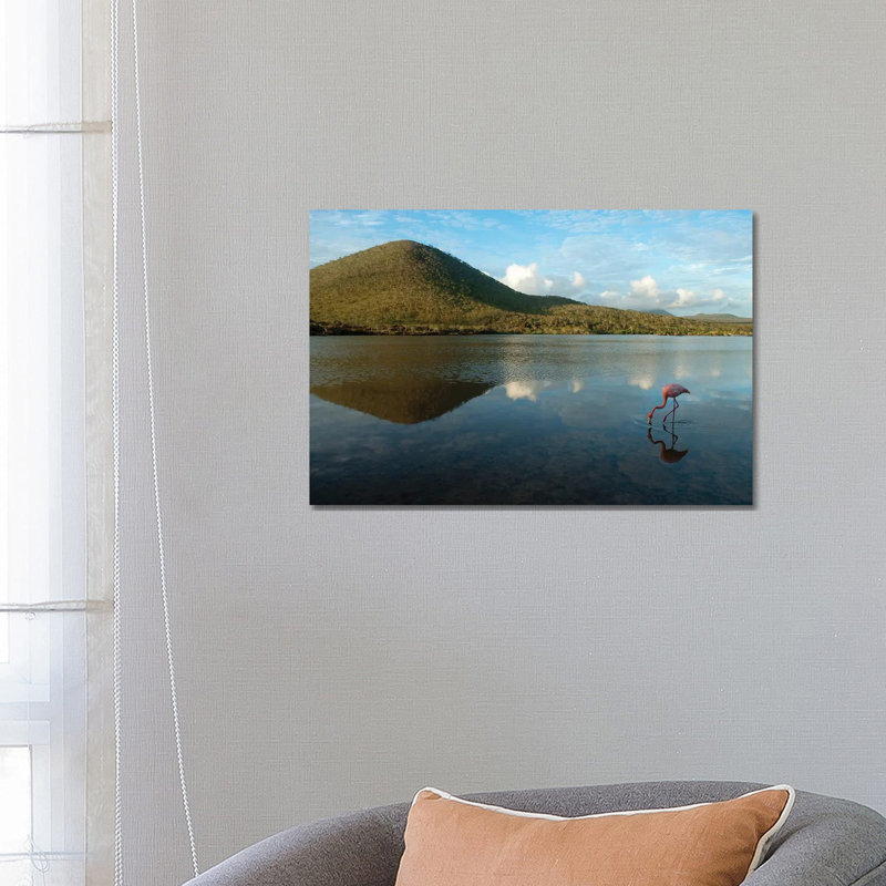An American Flamingo On Floreana Island In Galapagos National Park by Joel Sartore - Wrapped Canvas Gallery-Wrapped Canvas Giclée
