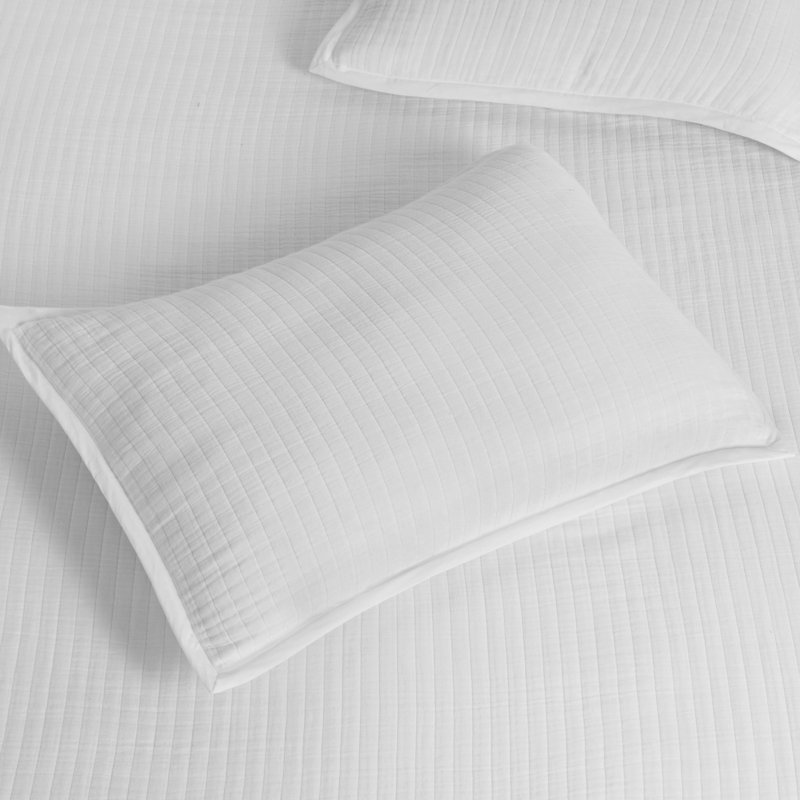 Cloud Cotton Gauze Shams, Standard