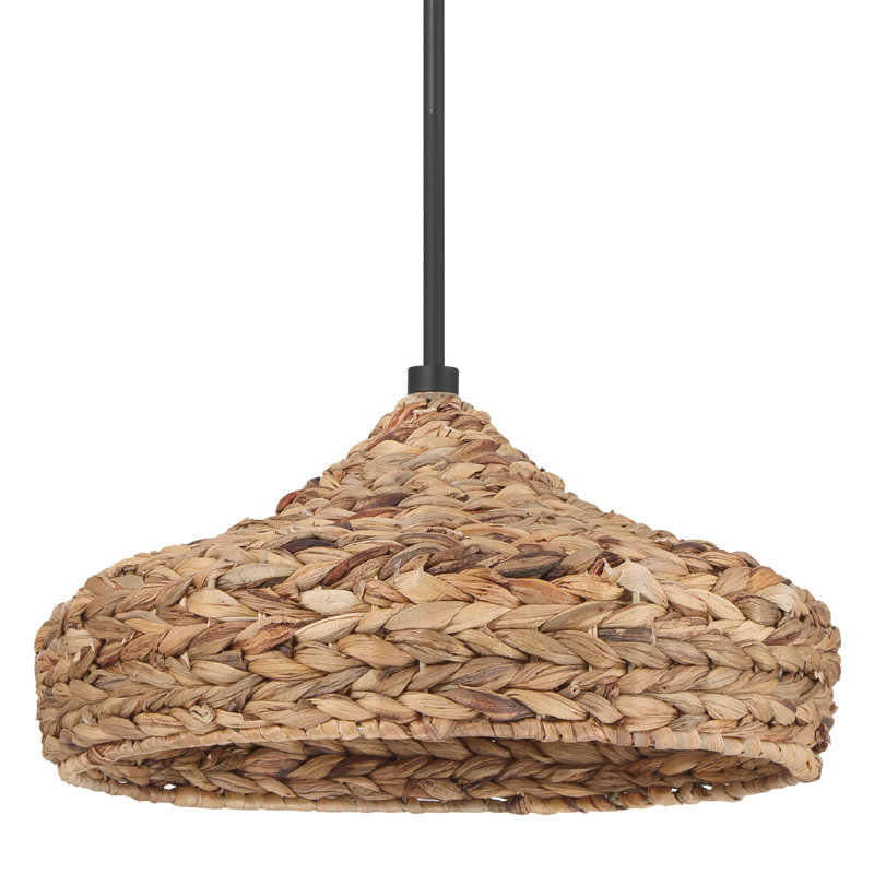 Grand luminaire suspendu 1 lumière Hunter Cambria