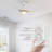 Modelle 44'' Ceiling Fan with LED Lights
