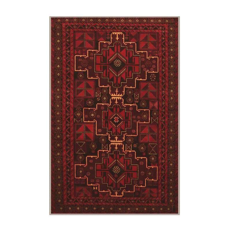 Southwestern Indoor Rug