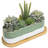Kanden Pot Planter