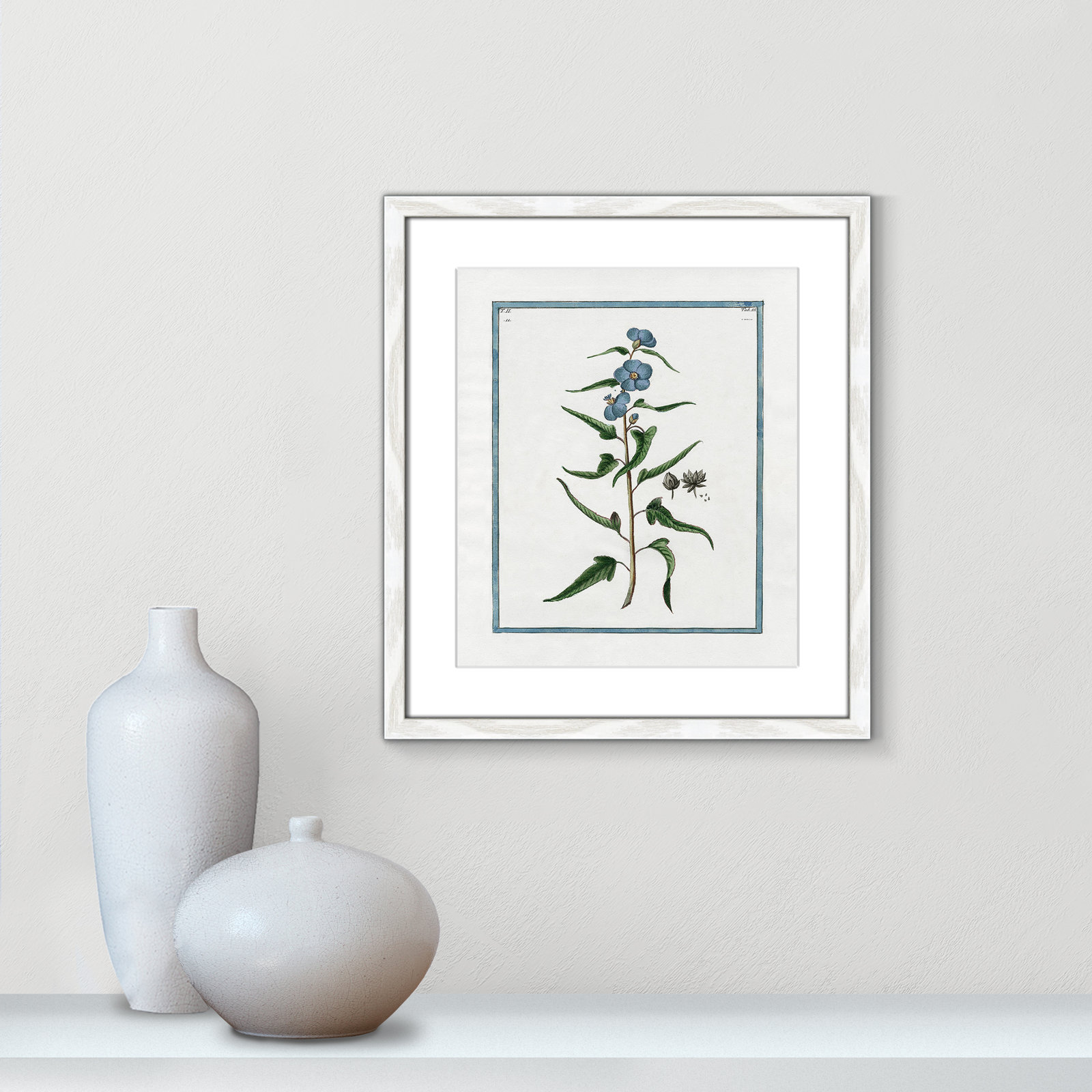 Colombe "Shabby Elegance Botanical I" Print, 13" W x 15" H, White Framed