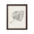 Brown Framed selected