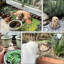 Statue statue de jardin, décoration de pelouse, animal de compagnie, décoration amusante