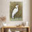 Brampt White Egret I-108361534