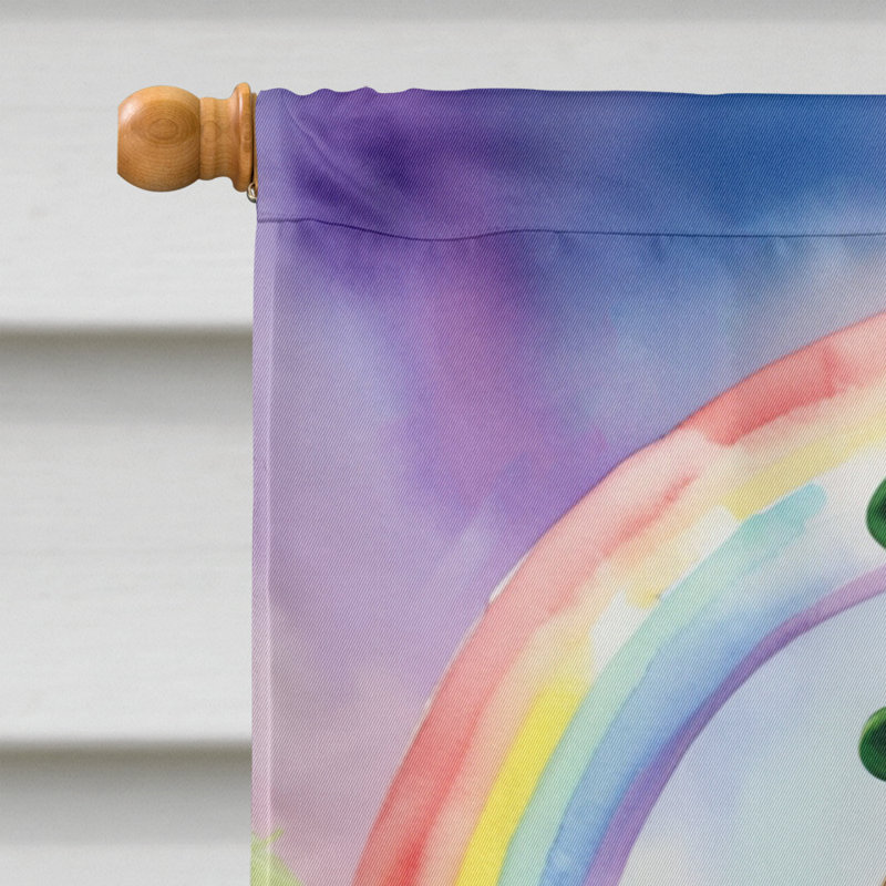 Drapeau double face en polyester H 40 po x l 28 po St Patrick's Day House