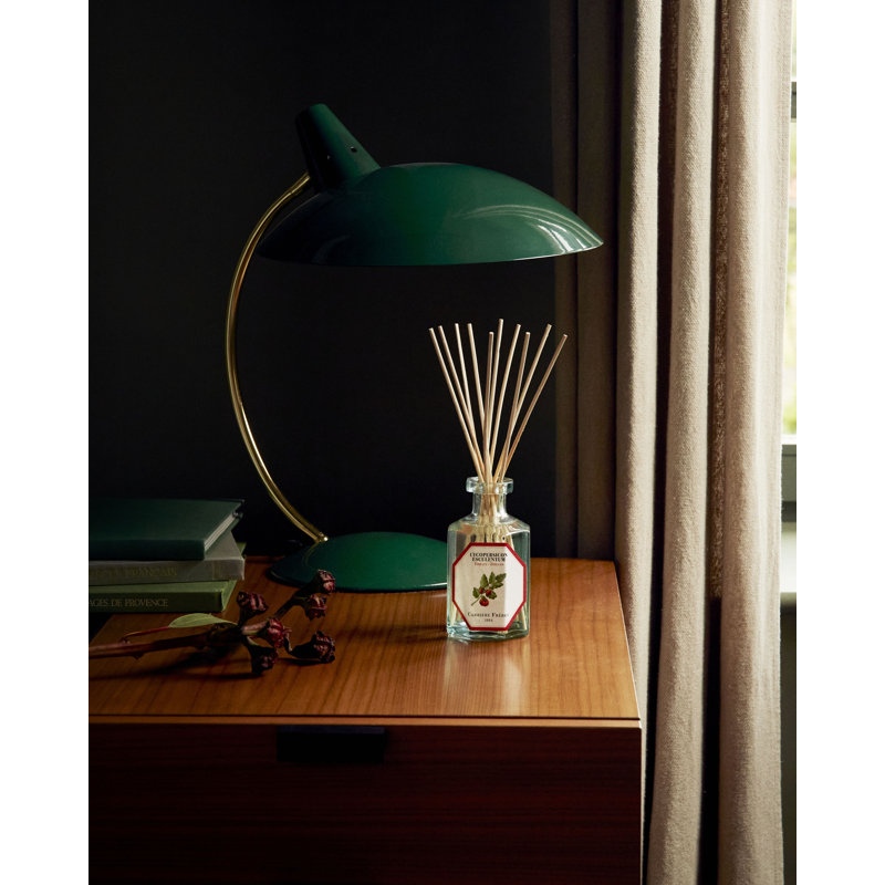 Fruits Diffuser, Tomato