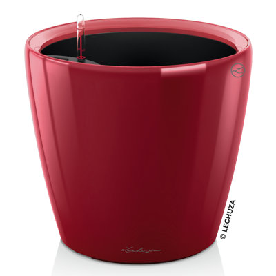 Classico Pot Planter