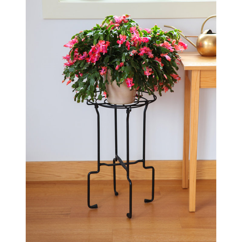 Metal Plant Stand