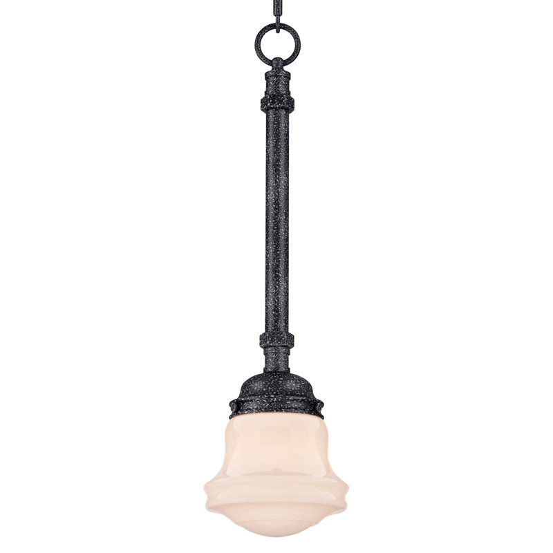 Luminaire suspendu simple à 1 lumière