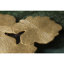 Borrego End Table