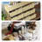 Rattan 6-Drawer Dresser – Modern Boho Wooden Dresser with Metal Handles & Solid Wood Legs, Wicker Chest of Drawers for Bedroom Storage, Living Room, Entryway, Closet