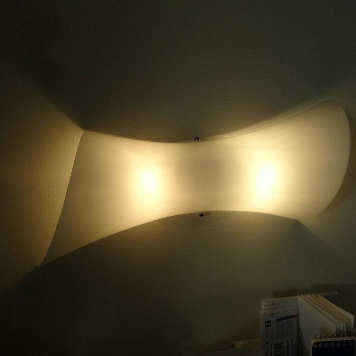 Elysian Steel LED Flush Mounted Sconce