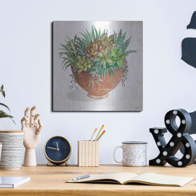 «Terracotta Succulents II» par Cindy Jacobs