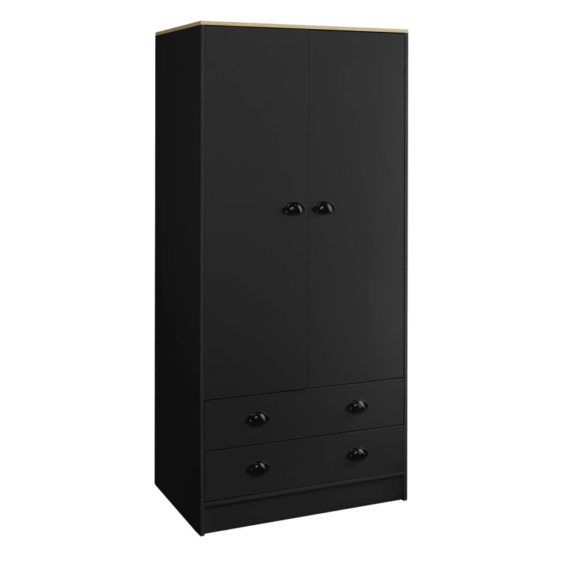 Kaitlin 2 Door Manufactured Wood Wardrobe, Black/Brown
