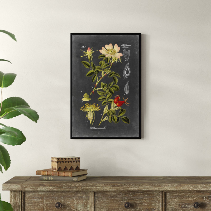 Midnight Botanical I by Vision Studio - Print, 76cm H x 51cm W, Wrapped Canvas