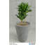 Jardinière Ember-401825798