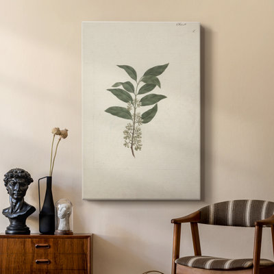 Imprimé floral rétro CLxxiv - galerie Cavas sur mesure