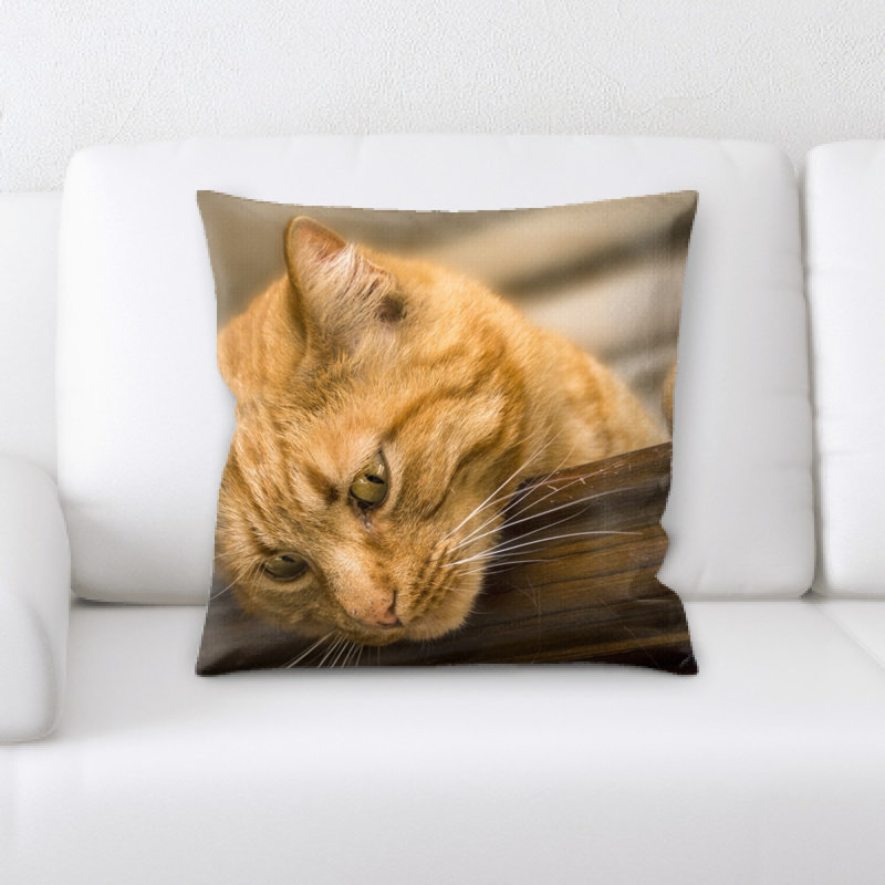 Coussin pour chat