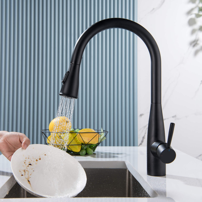 Bari-T Pull Down Single Handle Kitchen Faucet, Matte Black