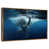 Floating Frame Gold