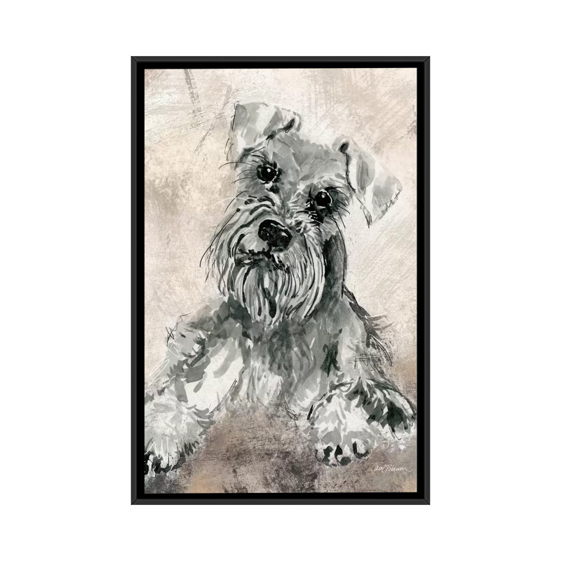 « sketchy study : schnauzer », impression sur toile, H 26 po x l 18 po x P 1,5 po, Toile avec cadre noir, Pas de tapis