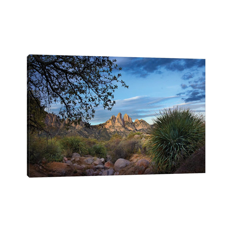 Organ Mountains Near Las Cruces, New Mexico I 1 Piece Wrapped Canvas Wall Art, 66.04 cm H x 45.72 cm W x 3.175 cm D