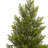 Faux Foliage Tree in Pot-1743630061