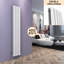 Chasity Vertical Designer Radiator-629015367-586542061-629015364
