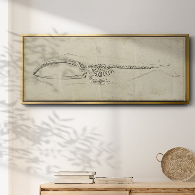 Whale Study I- Framed Canvas