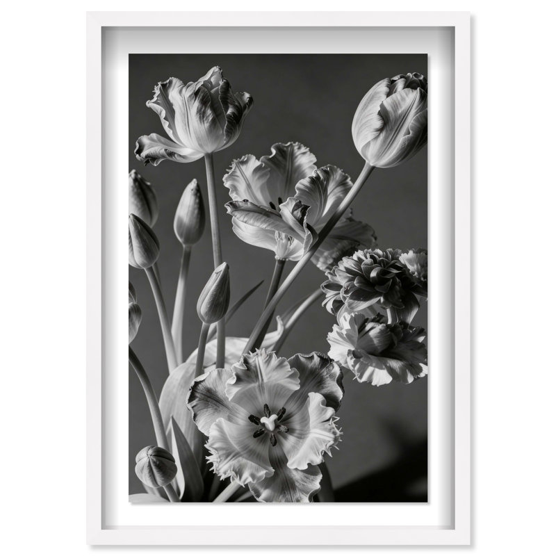 Botanique Noir II Print by Oliver Gal, 37.5" H x 25.5" W, White Shadowbox