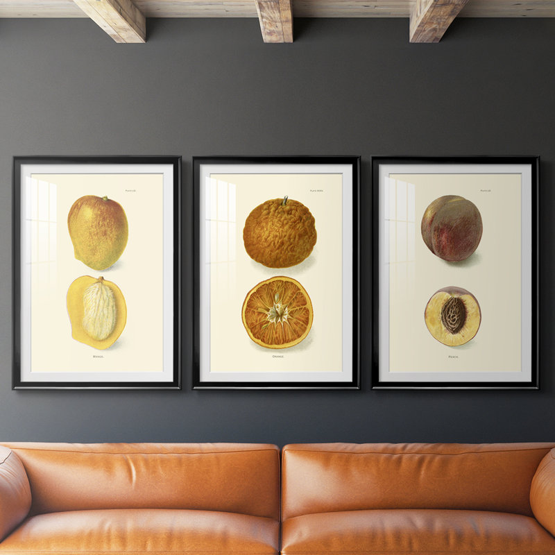 Mangue - impression encadrée sur mesure de qualité supérieure mate - 3 pièces, Noir, H 21 po x l 30 po