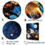 «Orange Frog on Glass Effect I», reproduction sur toile-273831533-273831534
